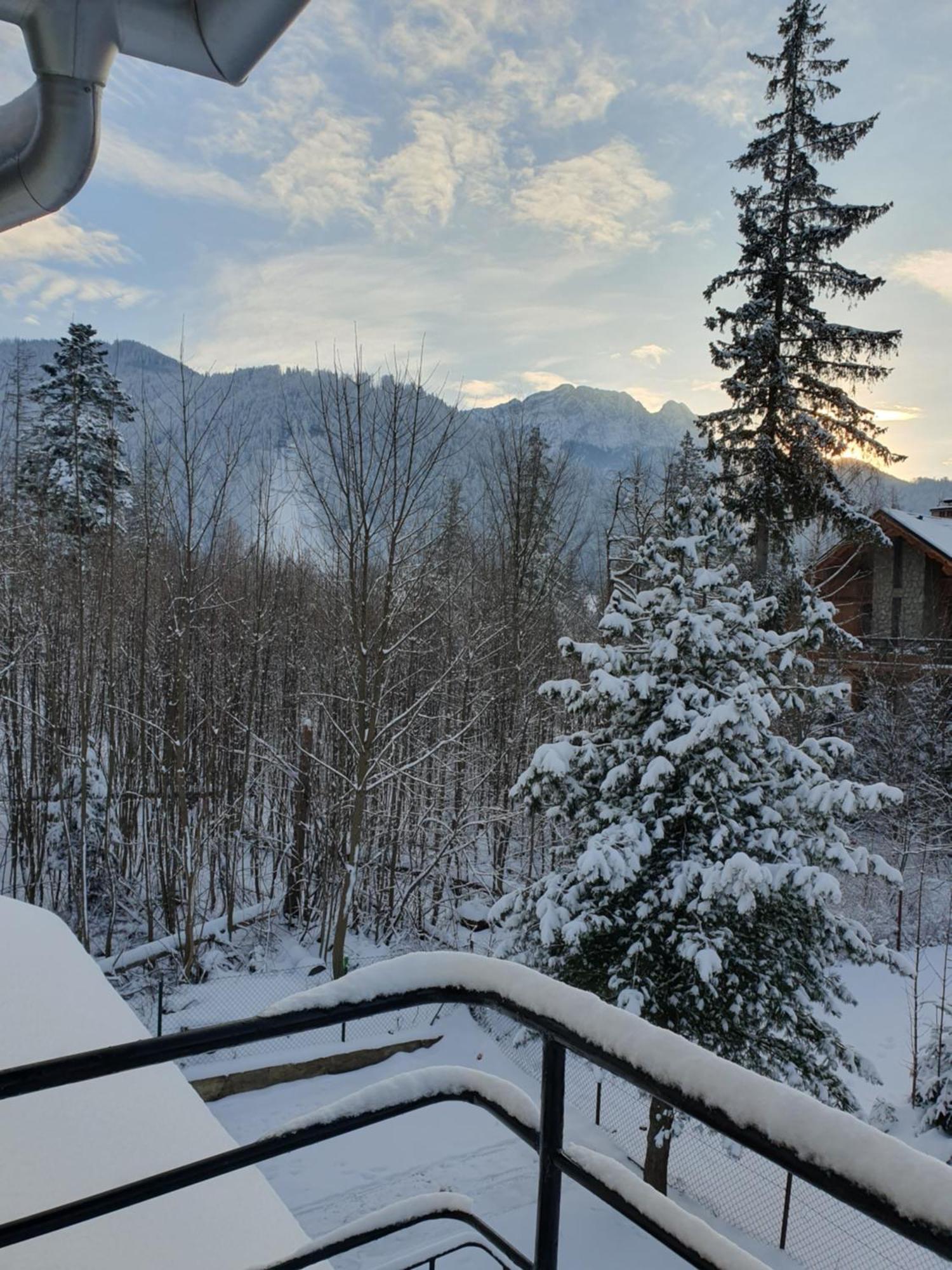 Asteria Daire Zakopane Dış mekan fotoğraf