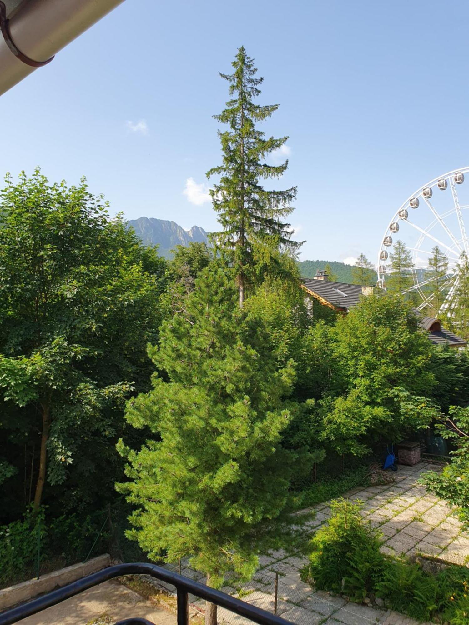 Asteria Daire Zakopane Oda fotoğraf
